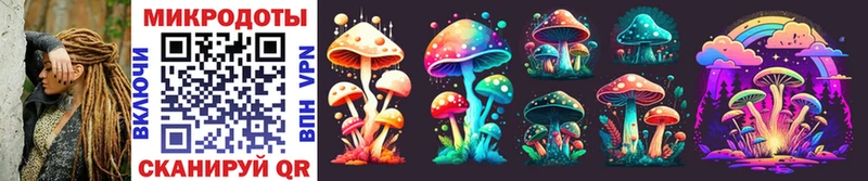 Галлюциногенные грибы Cubensis  где можно купить   Моршанск 