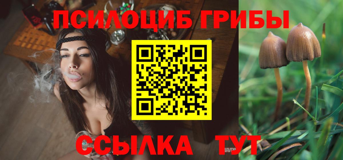 Галлюциногенные грибы Psilocybine cubensis  Вход с VPN  Псилоцибиновые грибы ЛСД  Моршанск 